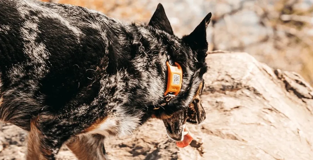 杭州工业设计公司 杭州工业设计公司