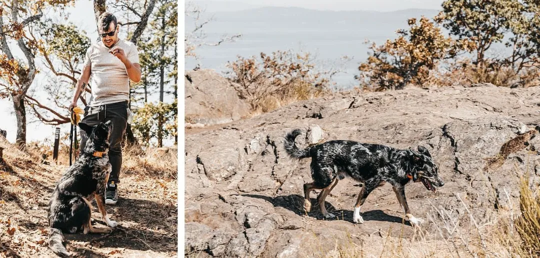 杭州工业设计公司 杭州工业设计公司