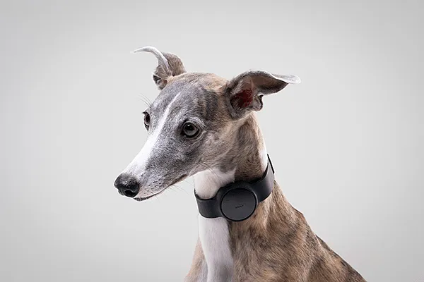 杭州工业设计公司 杭州工业设计公司