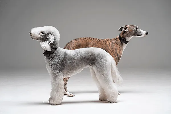 杭州工业设计公司 杭州工业设计公司