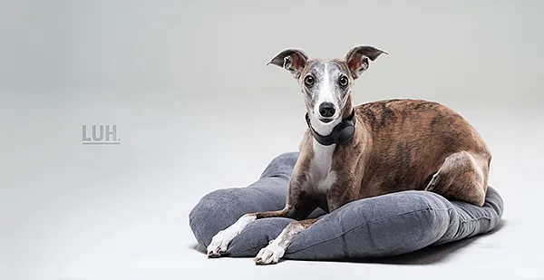 杭州工业设计公司 杭州工业设计公司